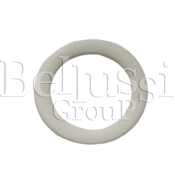 Gasket of float corps in FB/F steam generator and FR/F, MP/F, MP/F/PV, MP/F/T ironing tables