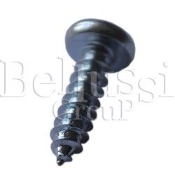 Screw for foot element in Comeleco and Snail steam generator